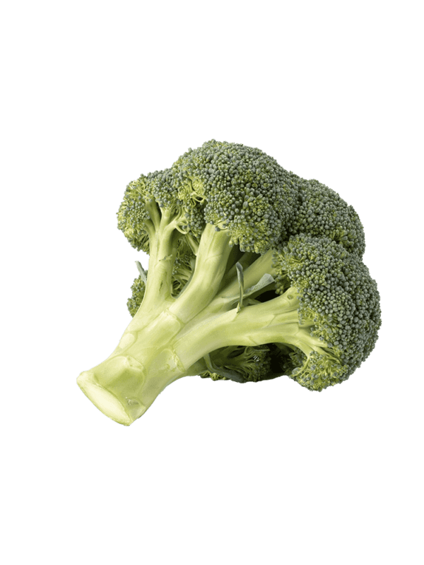 Rock Melon