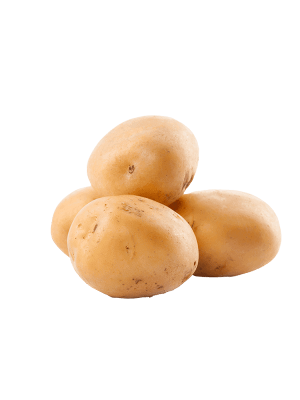 Potato